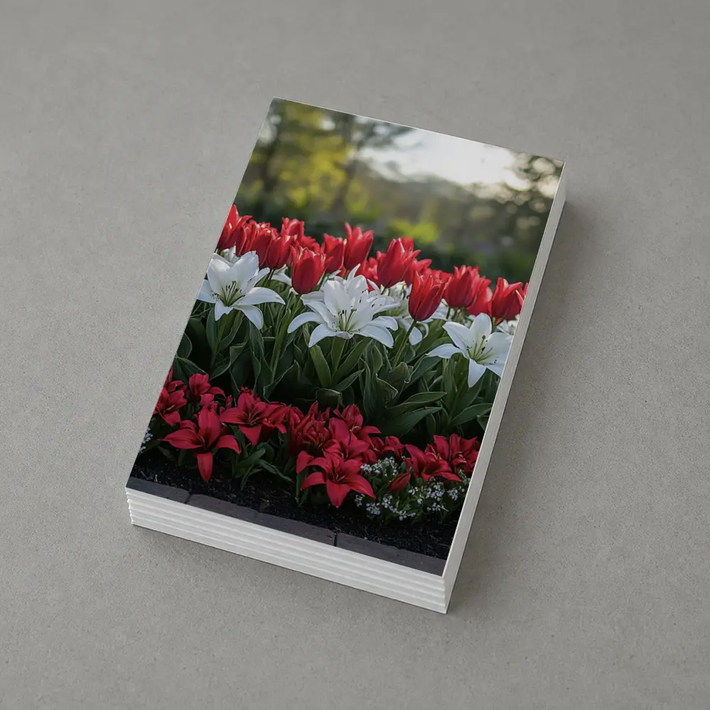 Red White Tulips Lilies Garden Flower Bed – Postcards