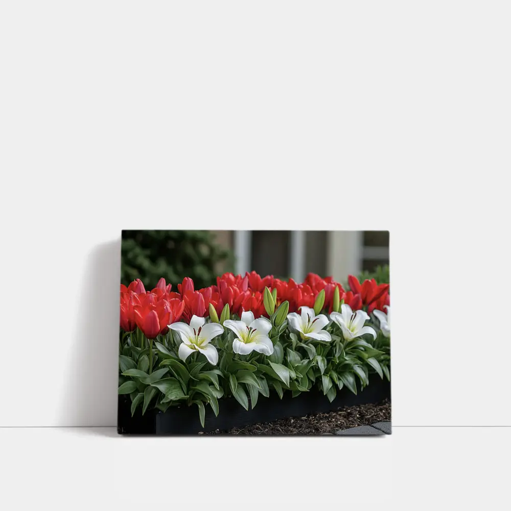 Red Tulips White Lilies Garden Planter – Wall Art