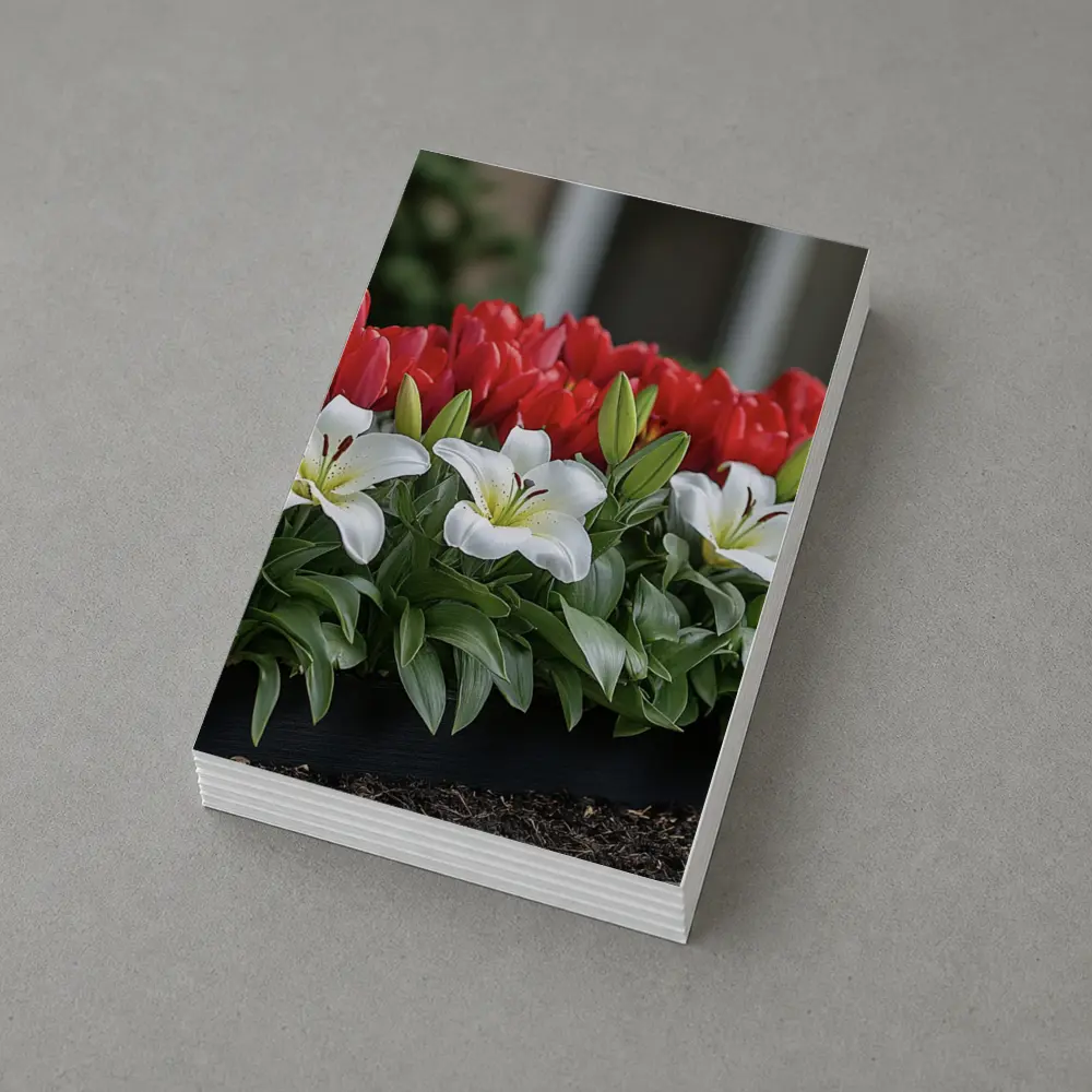 Red Tulips White Lilies Garden Planter – Postcards