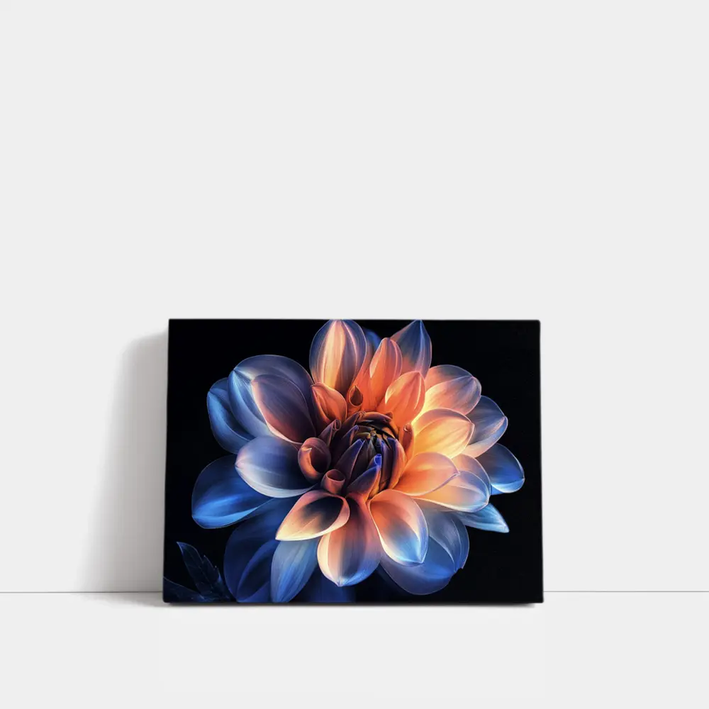 Dahlia Flower Blue Orange Dark Background – Wall Art