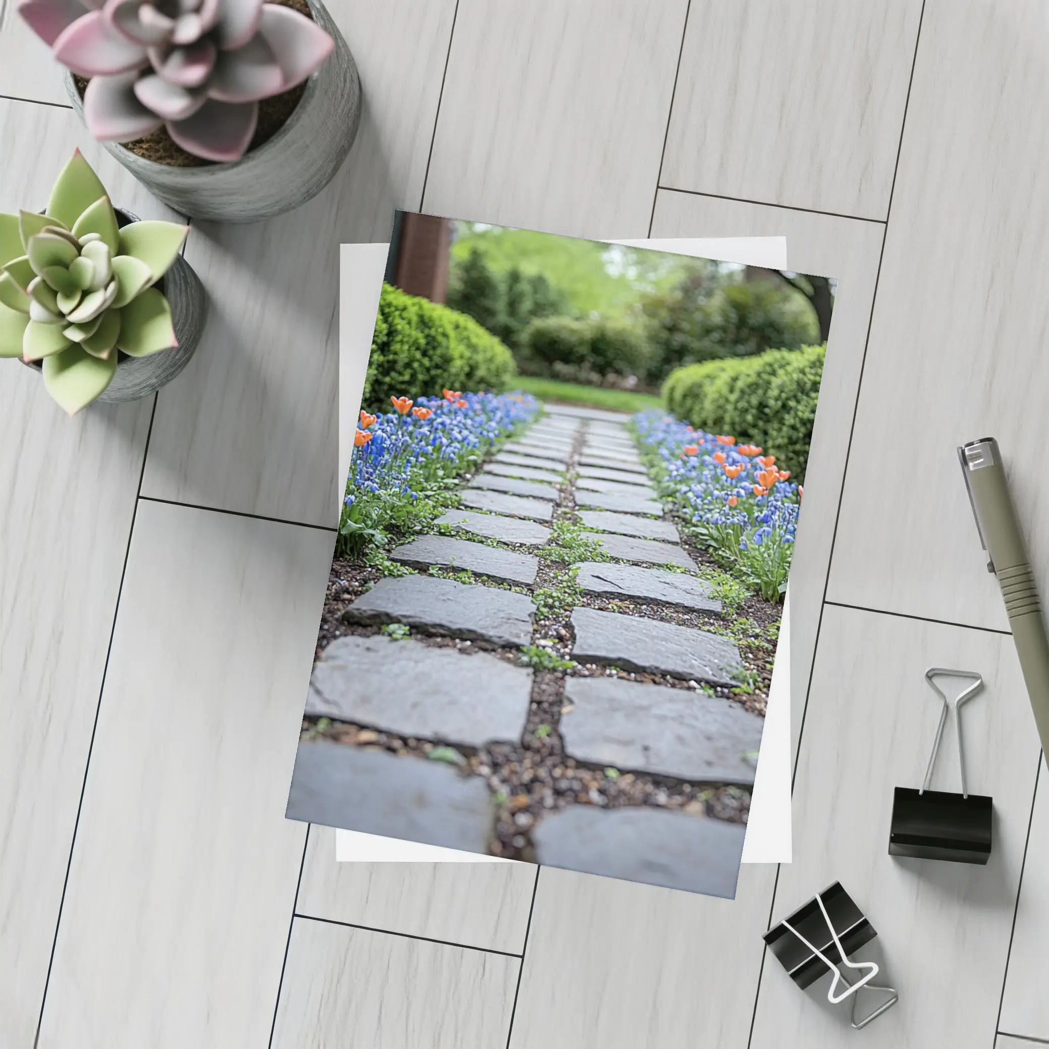 Tulips And Muscari Along Garden Stone Path – Postcards