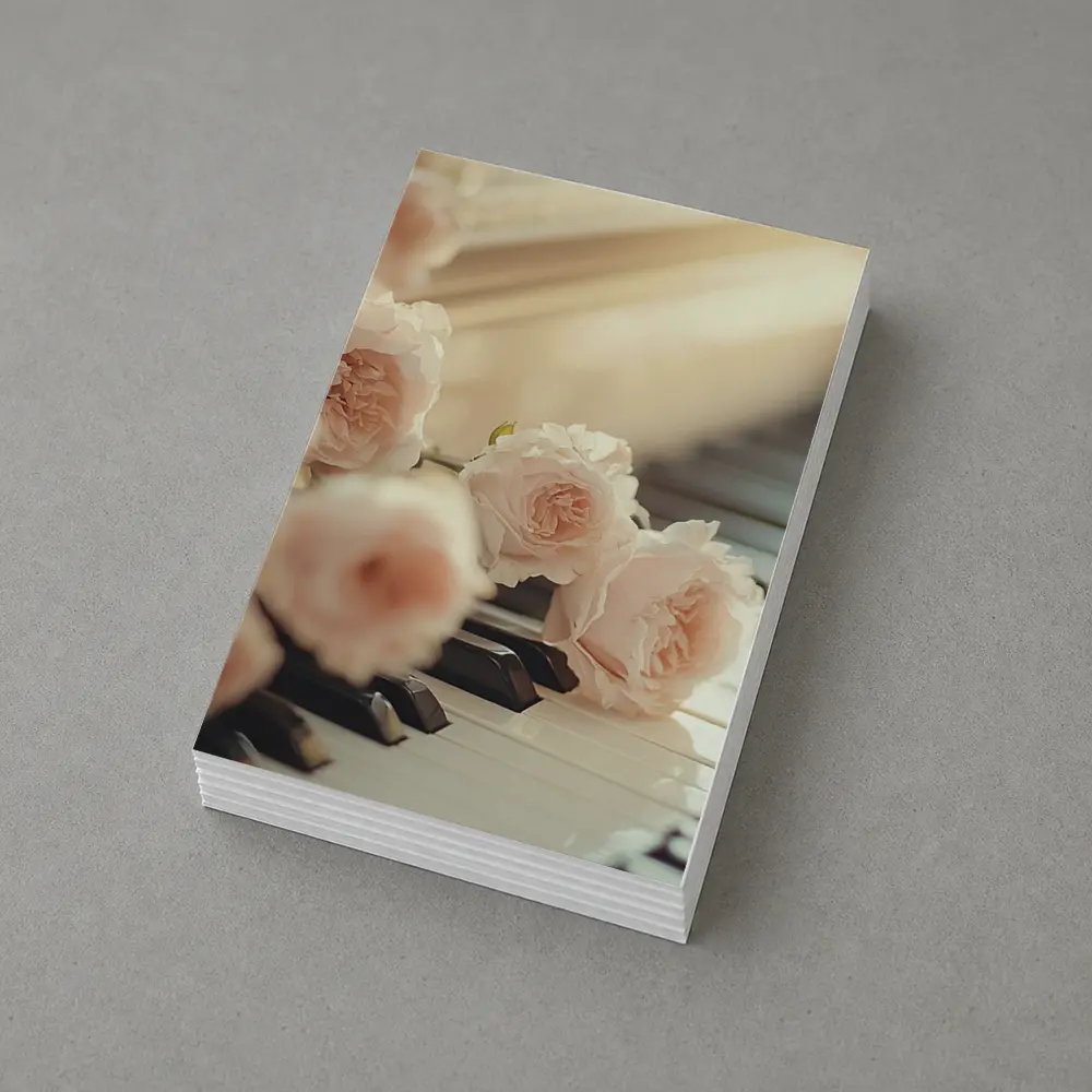 Pink Roses Resting On Piano Keys – Postcards