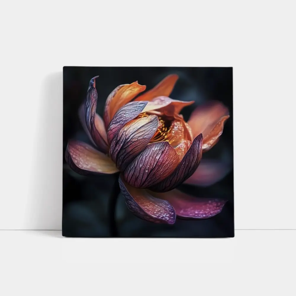 Dark Lotus Flower Close Up Dark Background – Wall Art