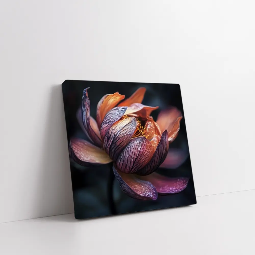 Dark Lotus Flower Close Up Dark Background – Wall Art