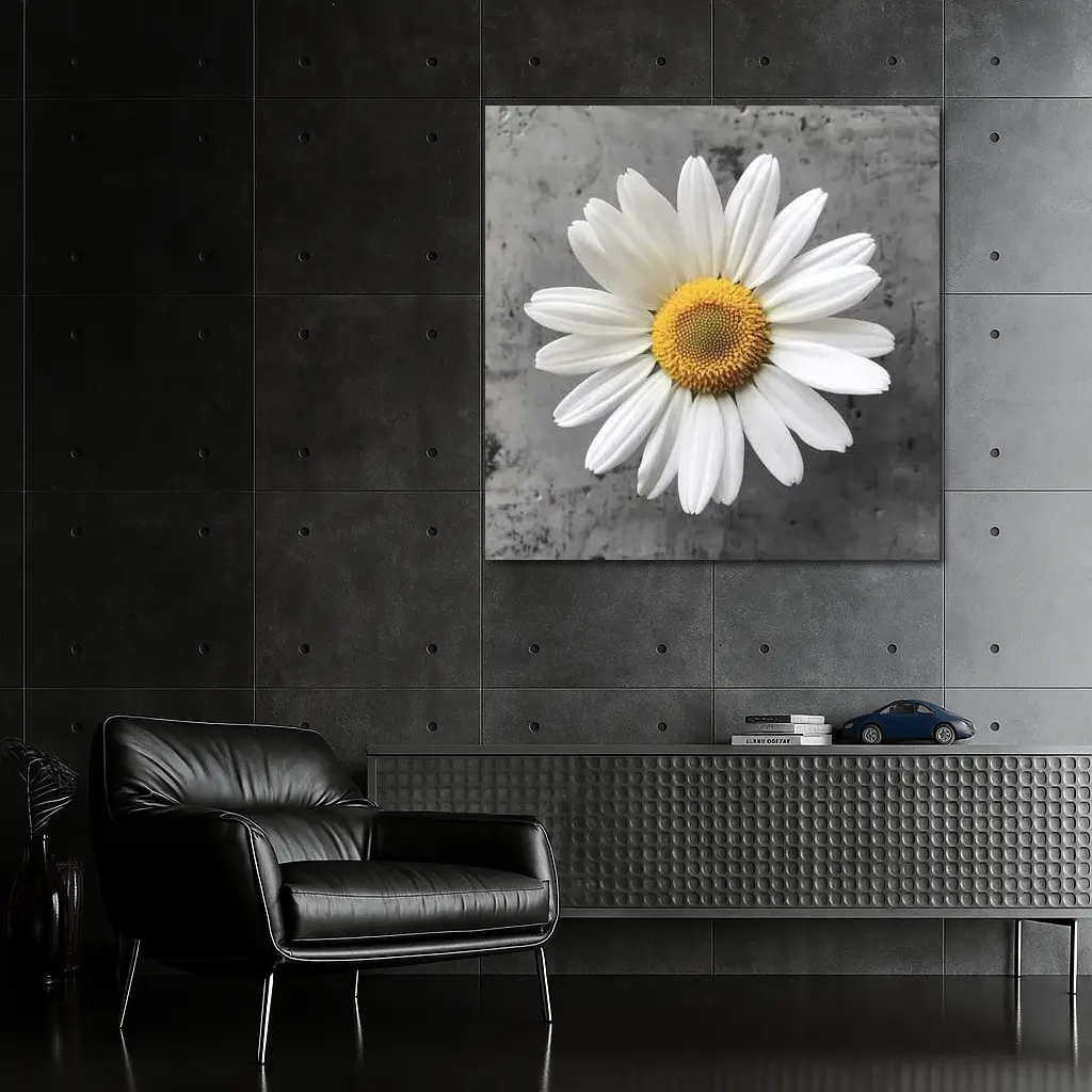 White Daisy Flower Gray Concrete Background – Wall Art