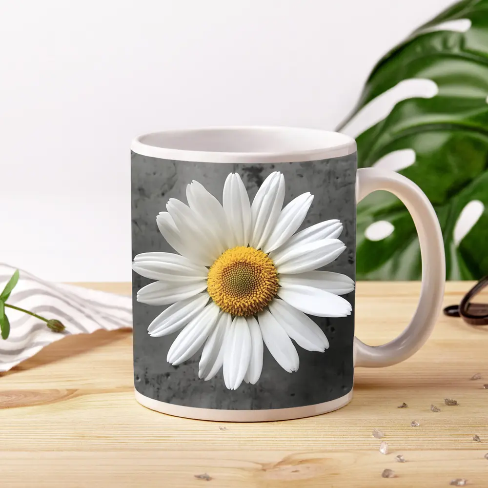 White Daisy Flower Gray Concrete Background – Mugs