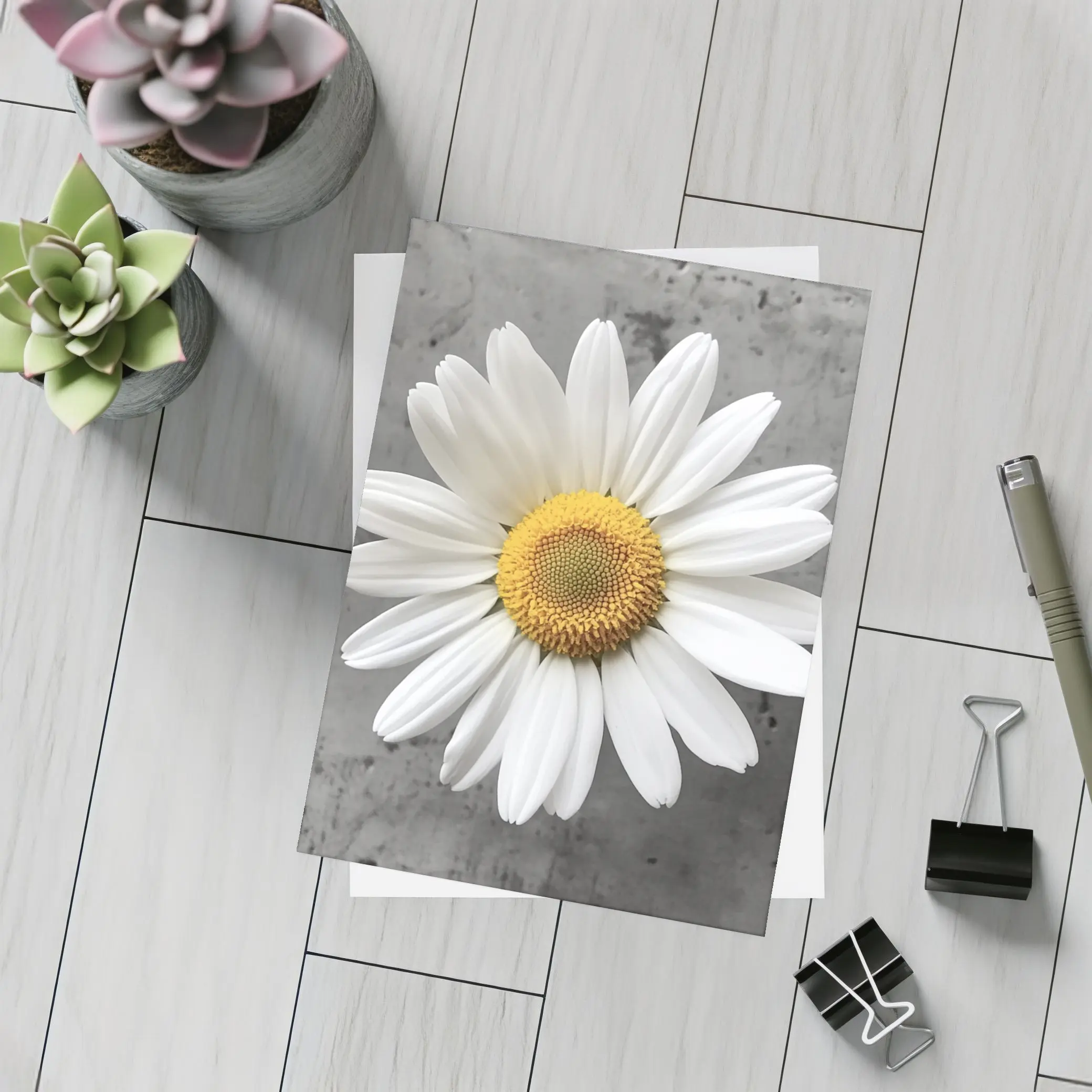 White Daisy Flower Gray Concrete Background – Postcards