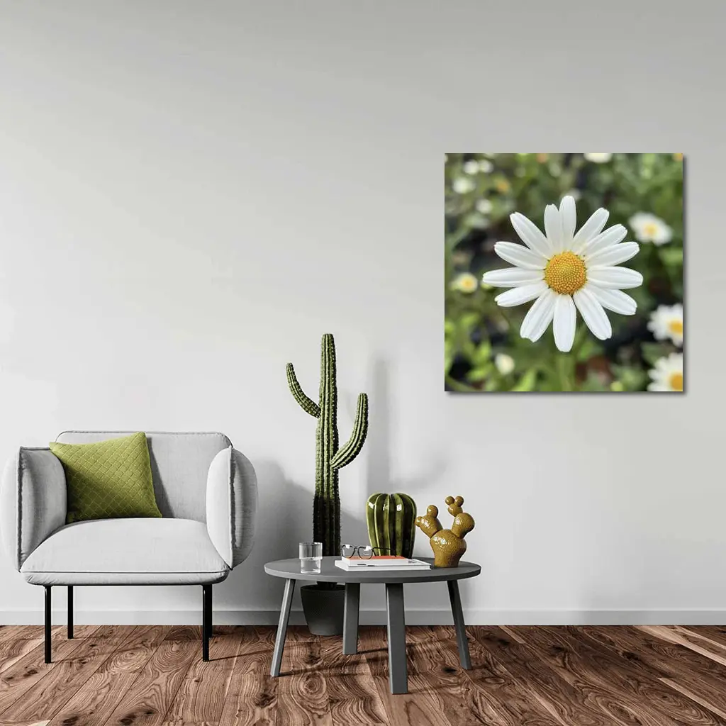 White Daisy Flower Green Garden Background – Wall Art