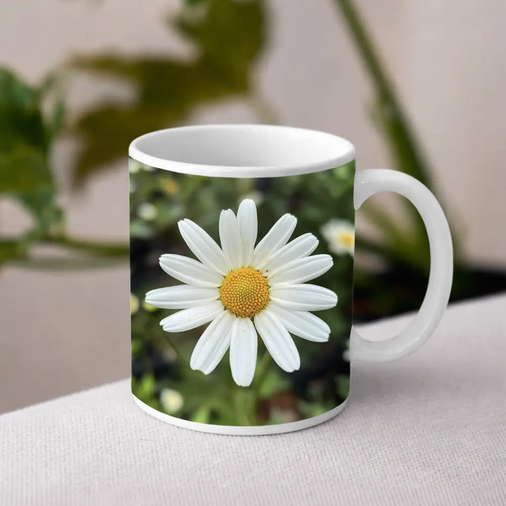White Daisy Flower Green Garden Background – Mugs