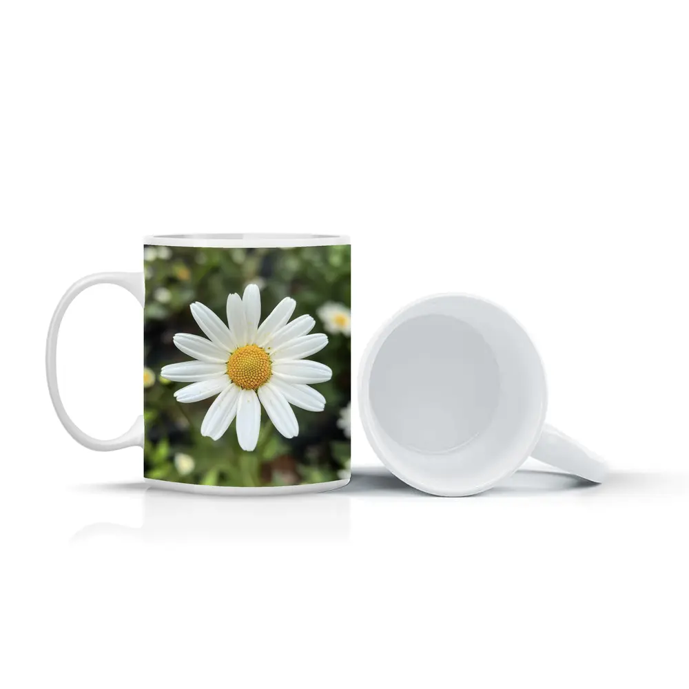White Daisy Flower Green Garden Background – Mugs