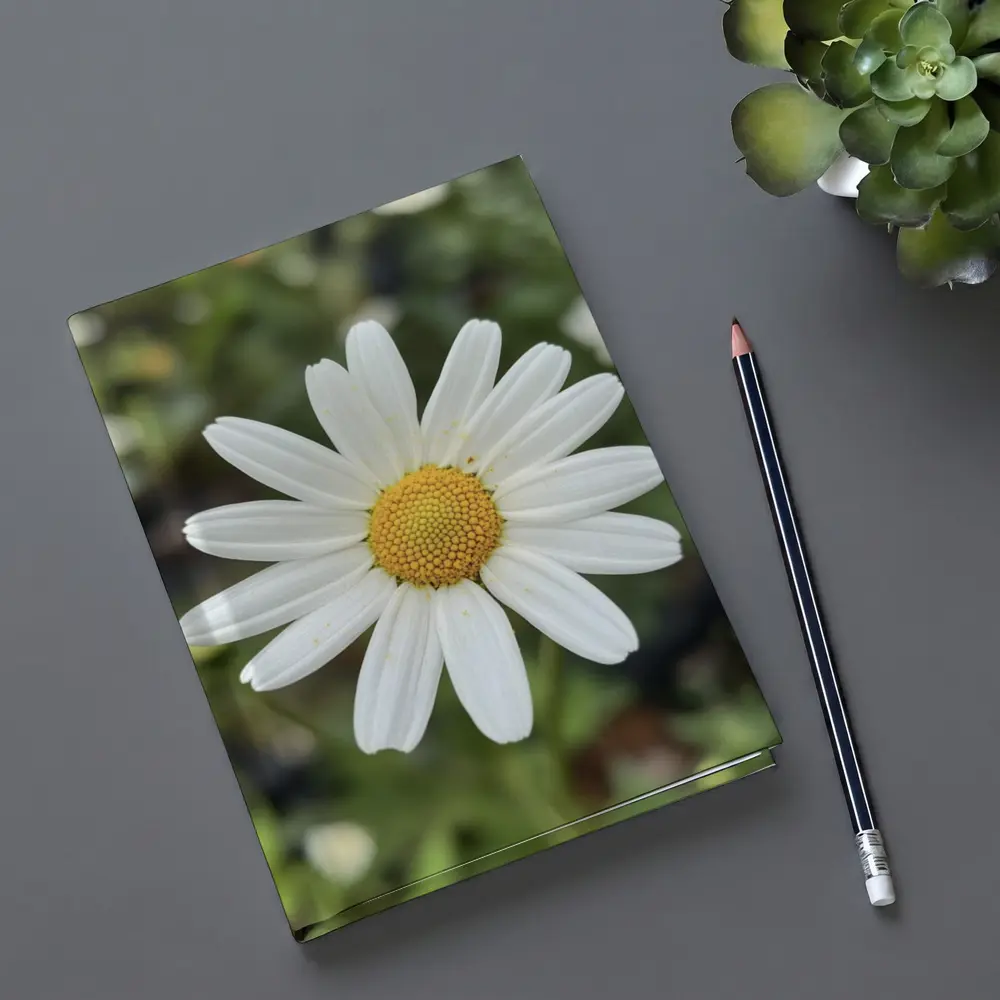 White Daisy Flower Green Garden Background – Notebooks