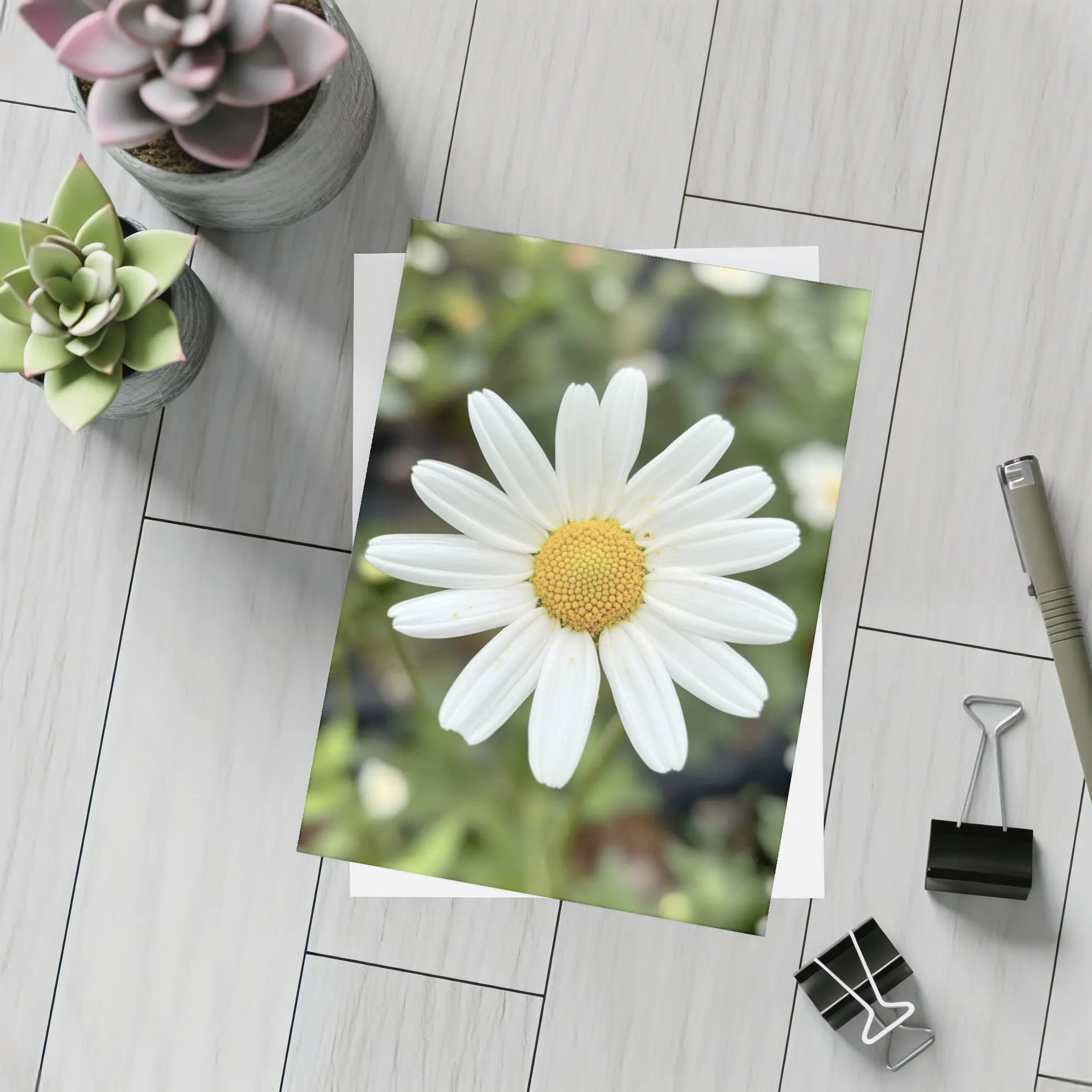 White Daisy Flower Green Garden Background – Postcards