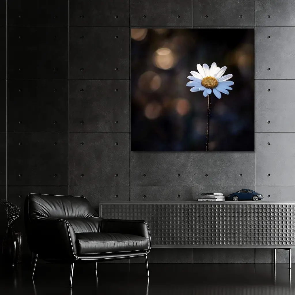Single Daisy Flower Dark Bokeh Background – Wall Art
