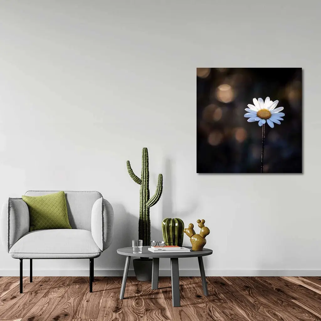Single Daisy Flower Dark Bokeh Background – Wall Art