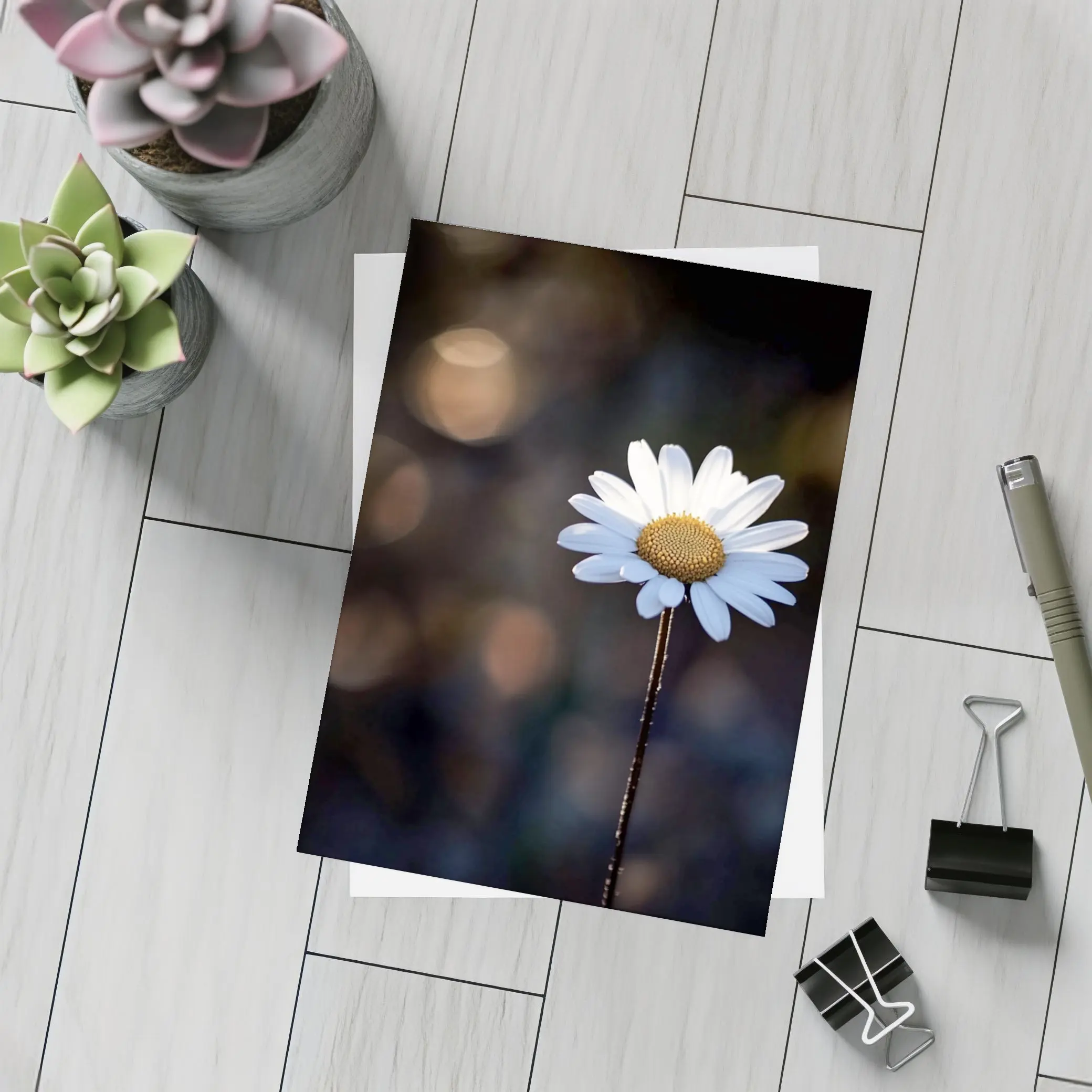 Single Daisy Flower Dark Bokeh Background – Postcards