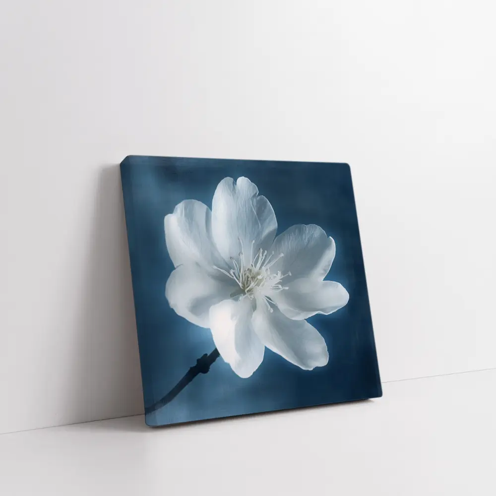 White Cherry Blossom Flower Blue Background – Wall Art