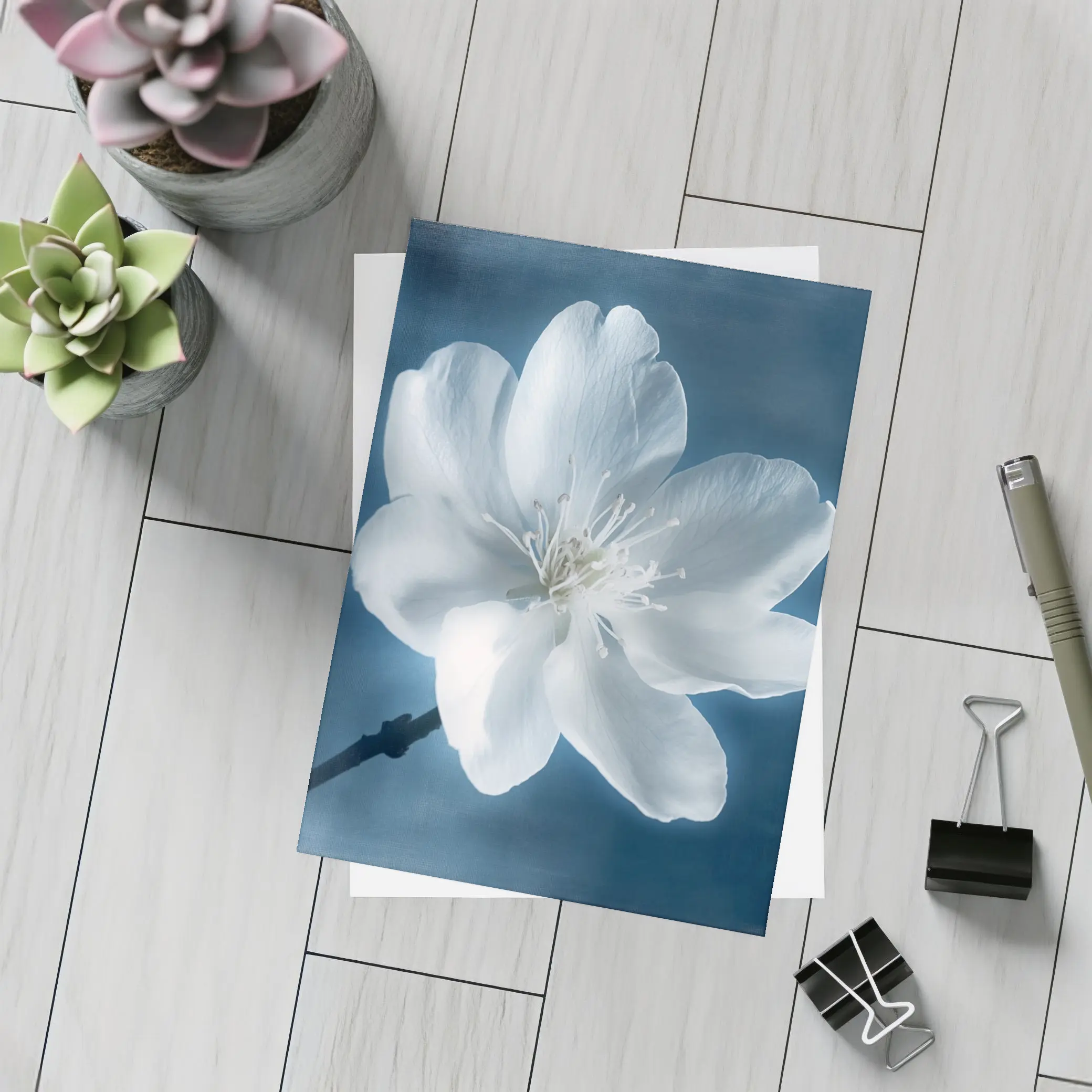 White Cherry Blossom Flower Blue Background – Postcards