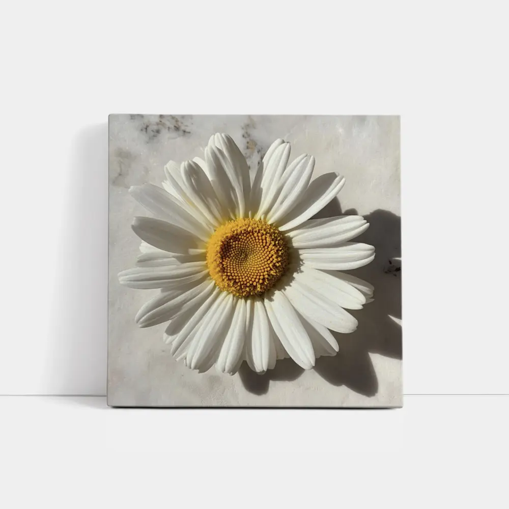 White Daisy Flower On Marble Surface – Wall Art