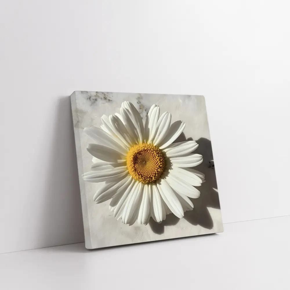 White Daisy Flower On Marble Surface – Wall Art