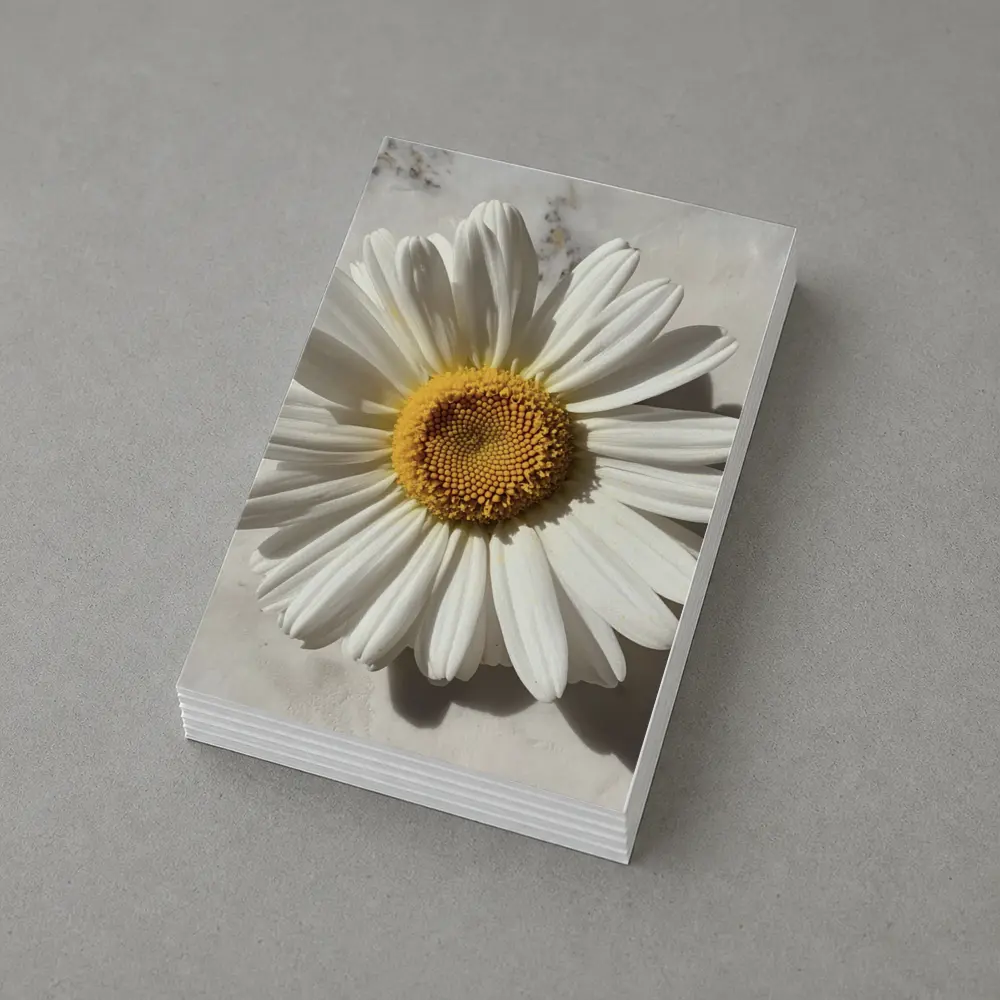 White Daisy Flower On Marble Surface – Postcards