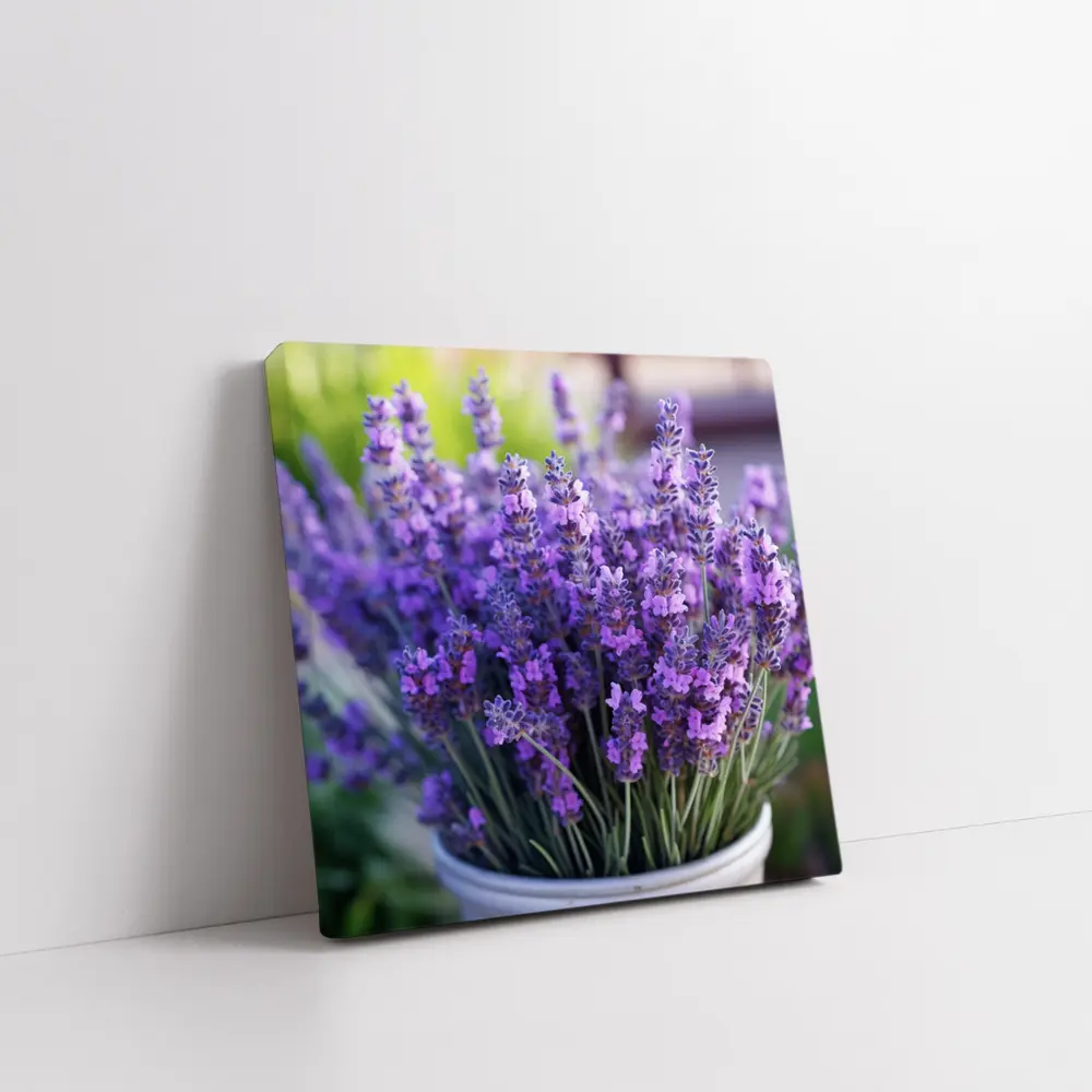 Lavender Flowers In White Pot Garden – Wall Art