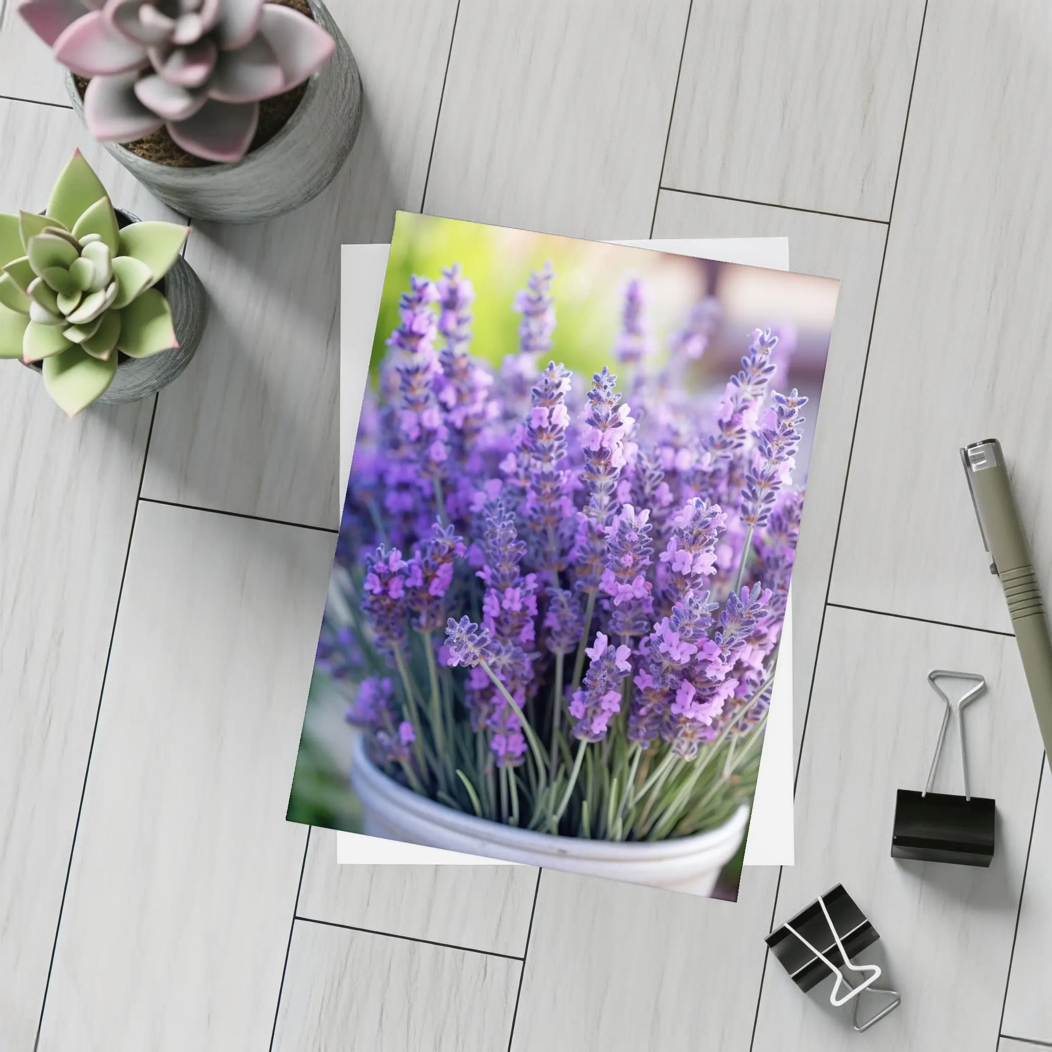 Lavender Flowers In White Pot Garden – Postcards