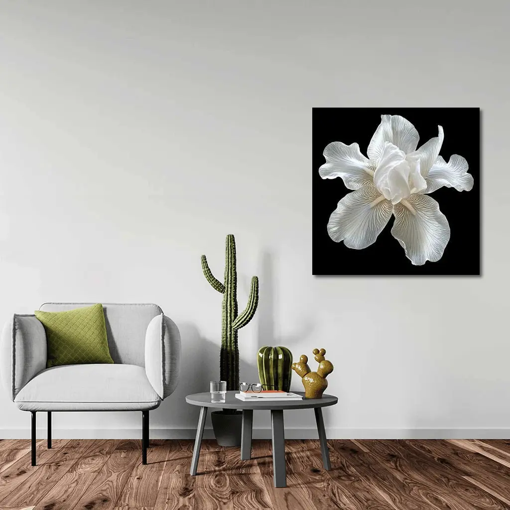 White Iris Flower On Black Background – Wall Art