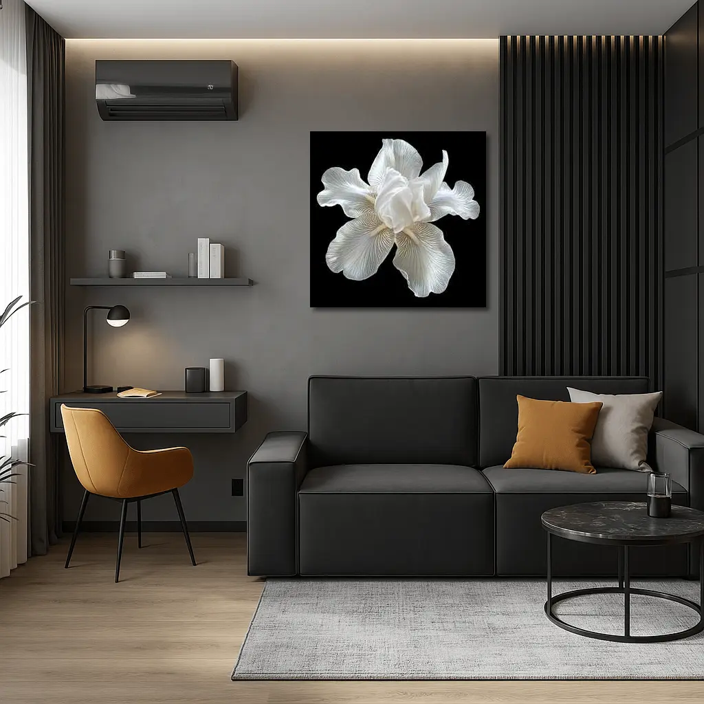 White Iris Flower On Black Background – Wall Art