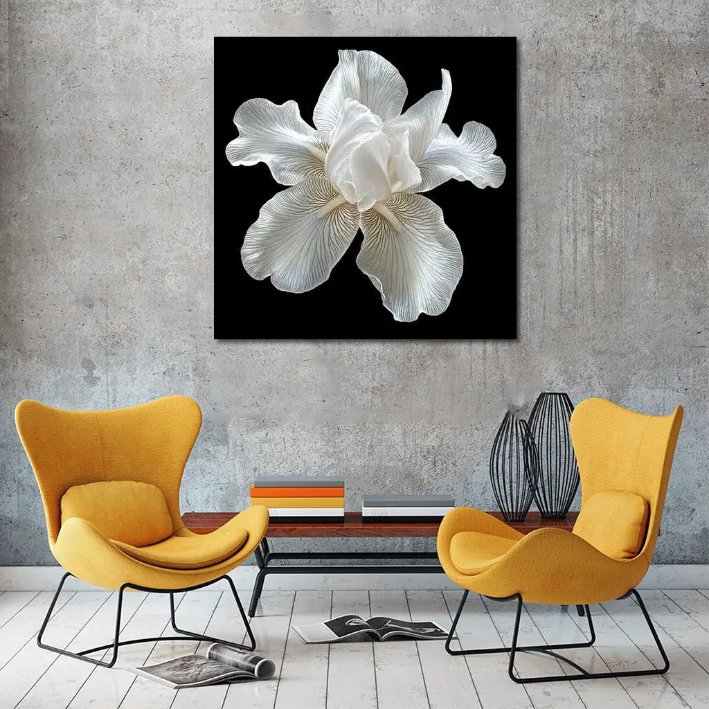 White Iris Flower On Black Background – Wall Art