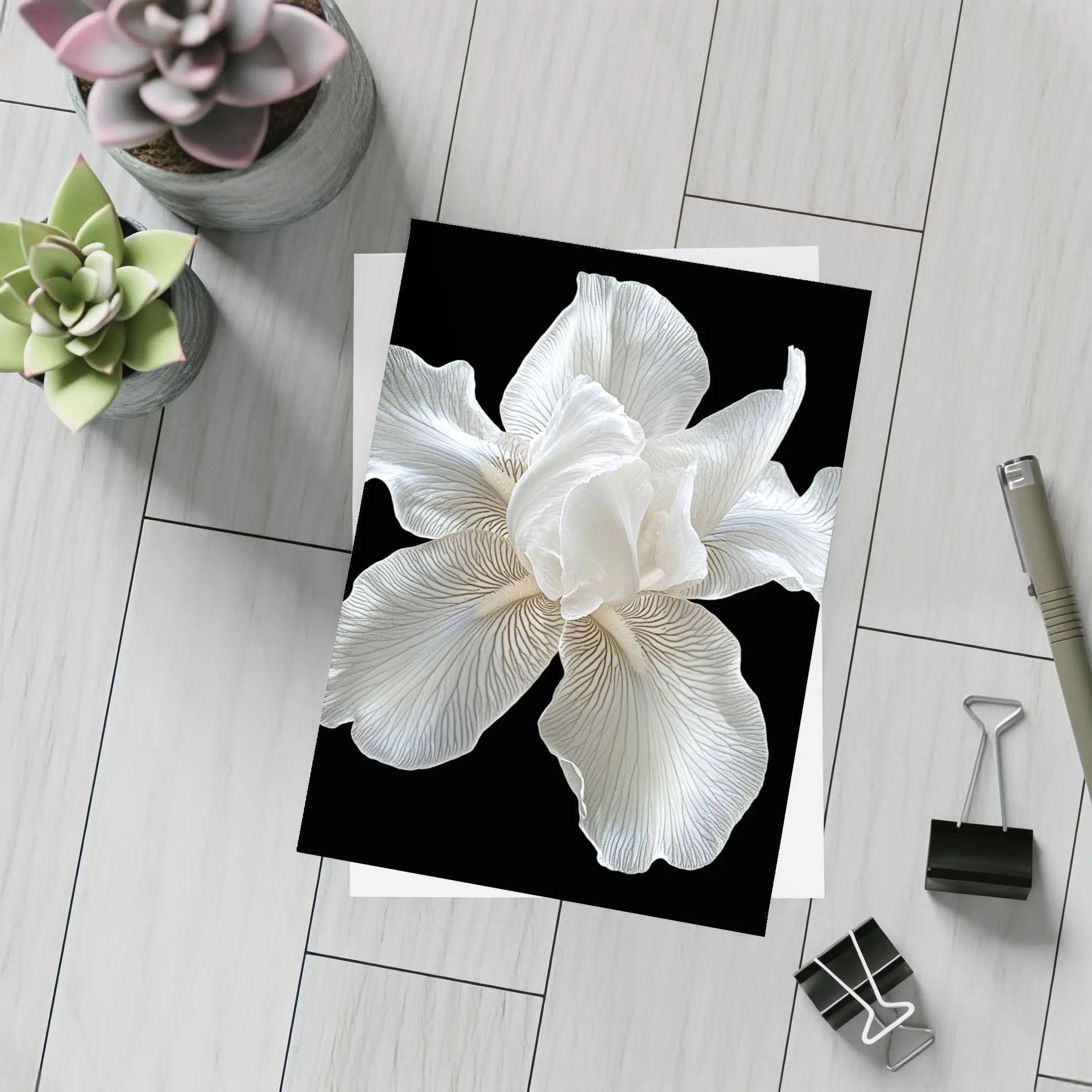 White Iris Flower On Black Background – Postcards
