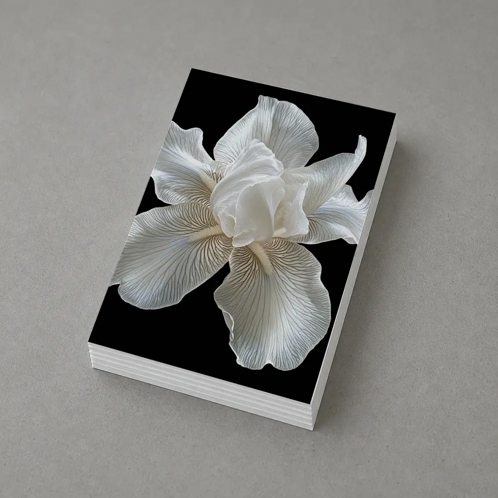 White Iris Flower On Black Background – Postcards