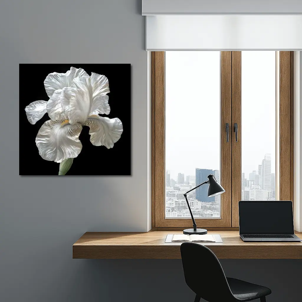 White Iris Flower On Black Background – Wall Art