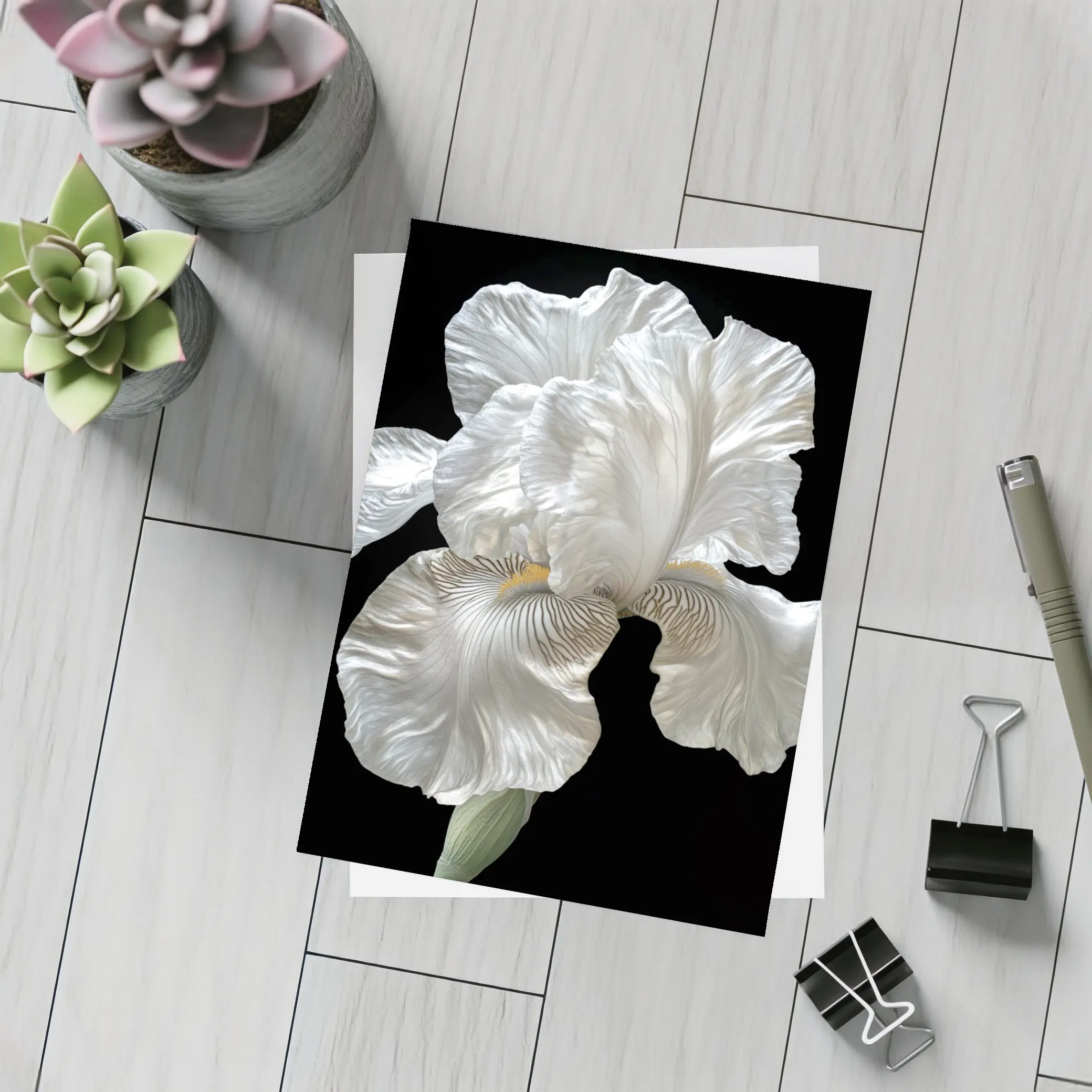 White Iris Flower On Black Background – Postcards
