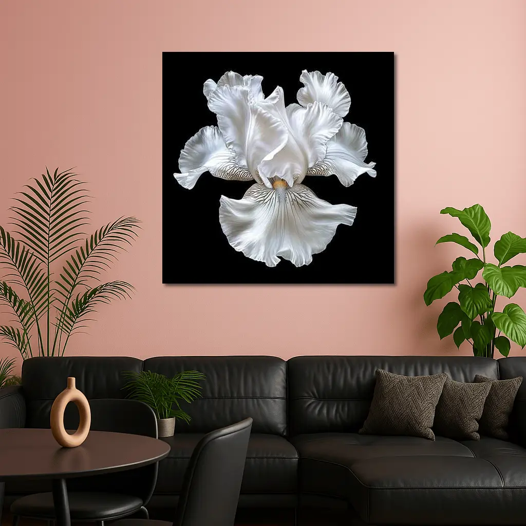 White Iris Flower Black Background Art – Wall Art