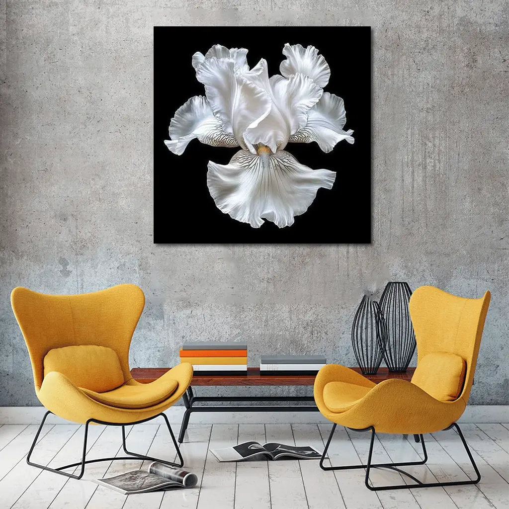 White Iris Flower Black Background Art – Wall Art