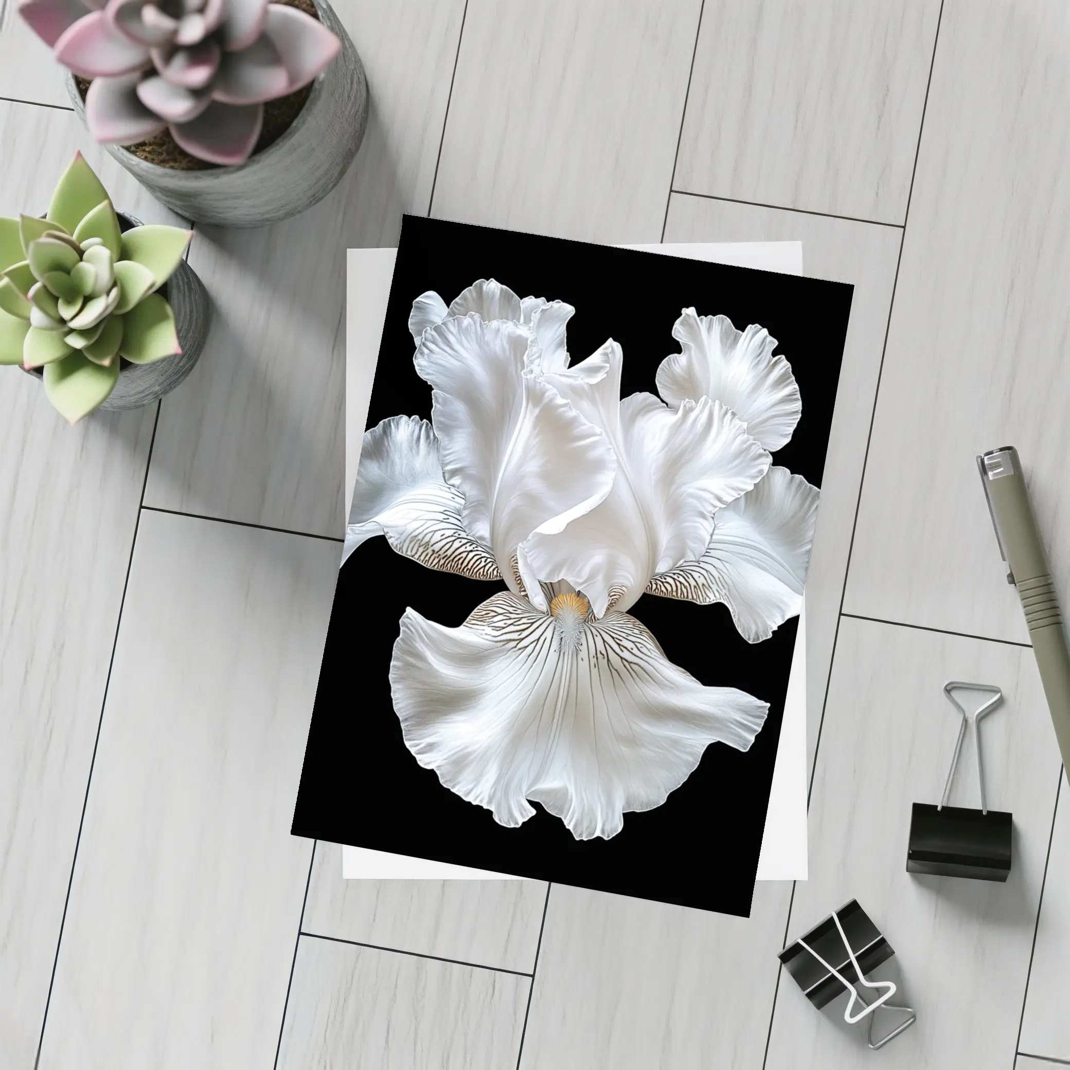 White Iris Flower Black Background Art – Postcards
