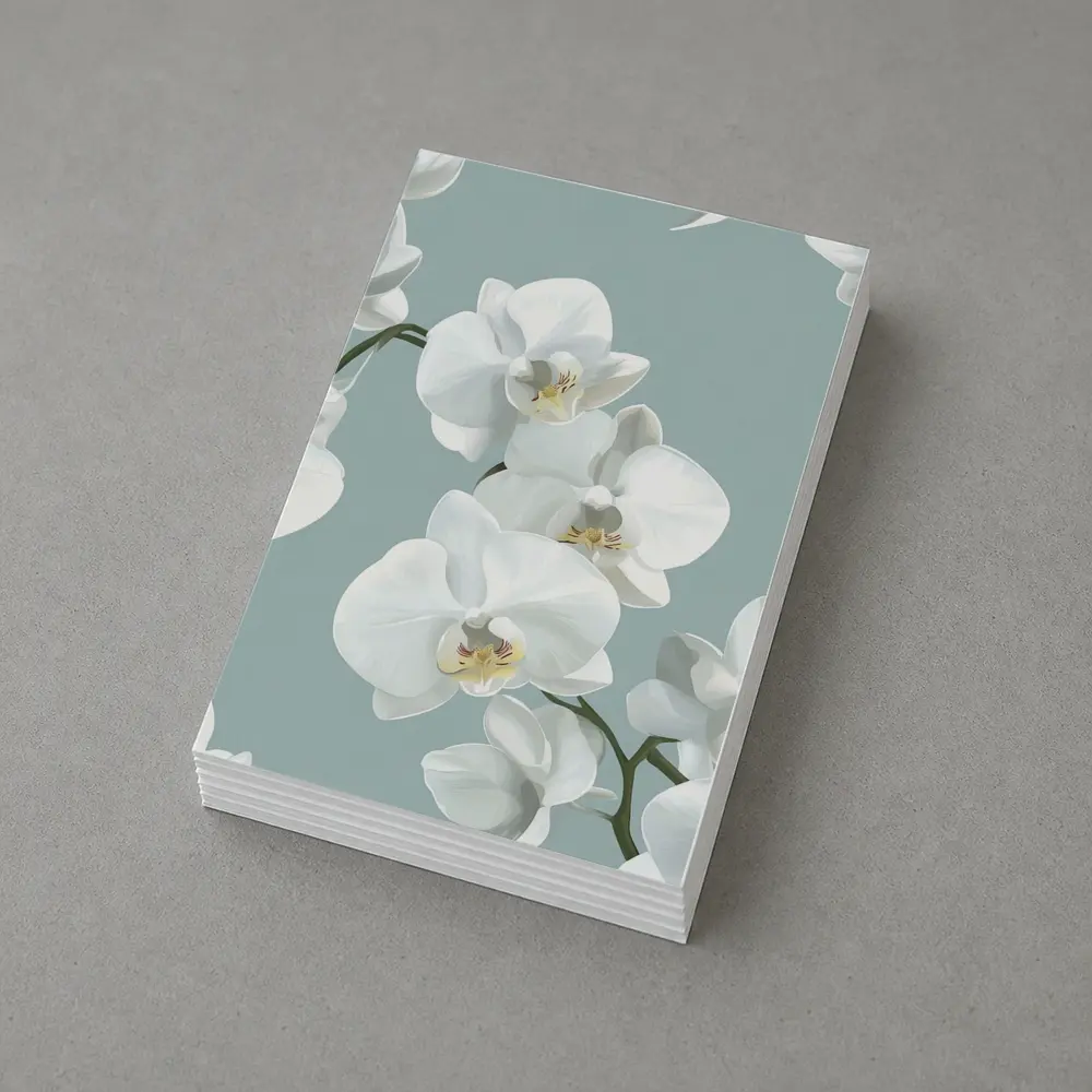 White Orchid Flowers Soft Blue Background – Postcards