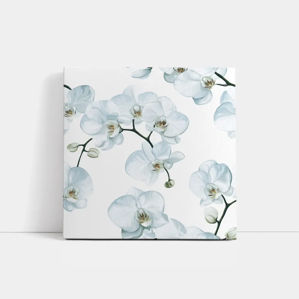 White Orchid Flowers On White Background – Wall Art