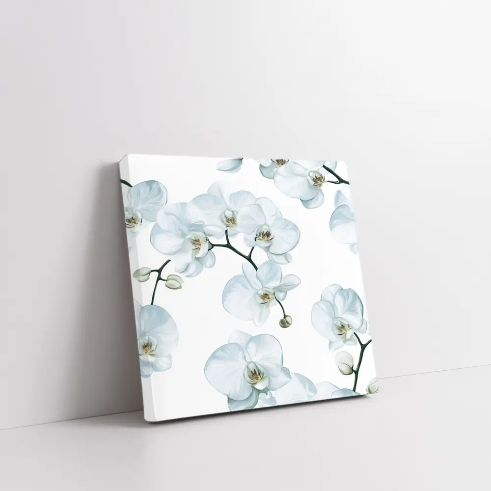 White Orchid Flowers On White Background – Wall Art
