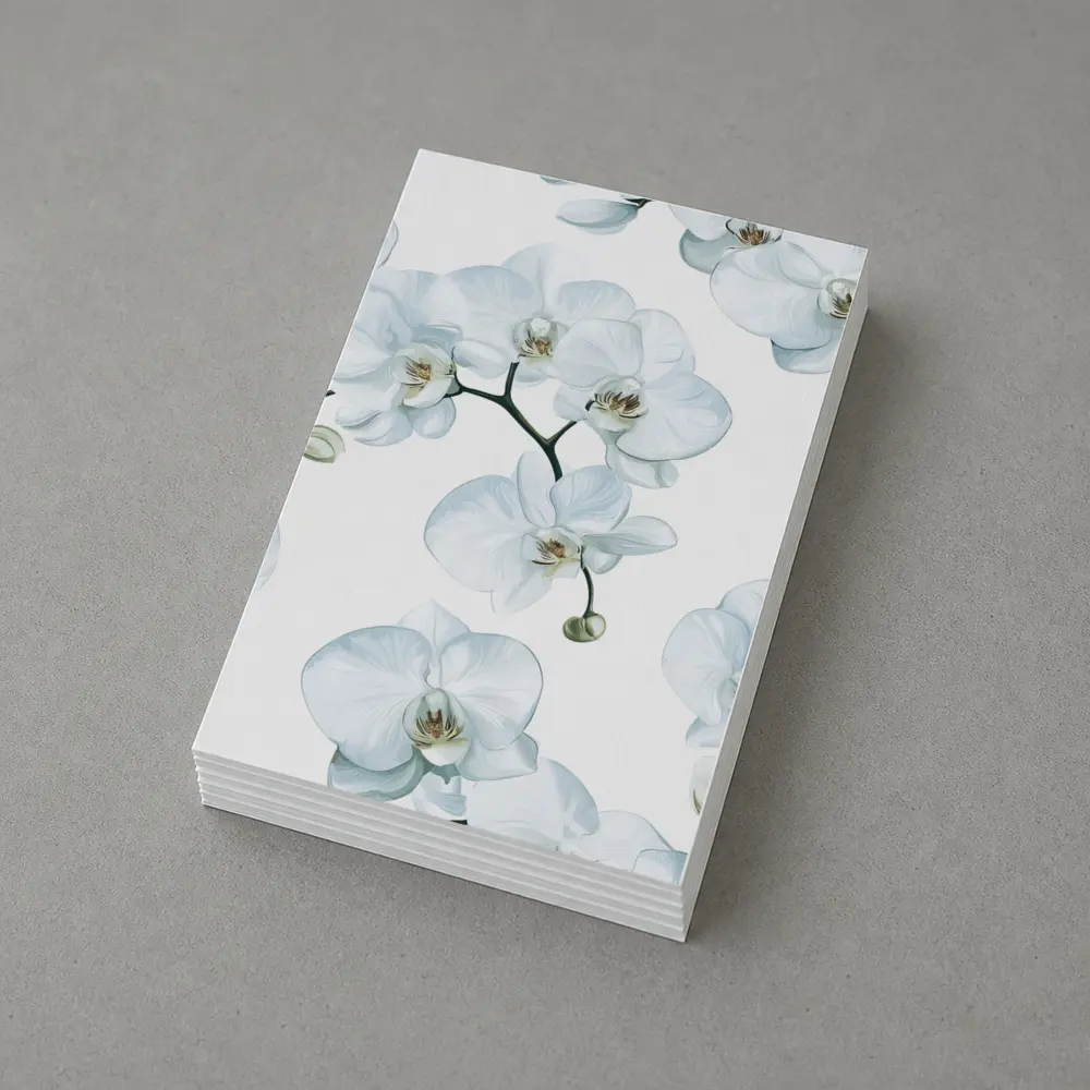 White Orchid Flowers On White Background – Postcards