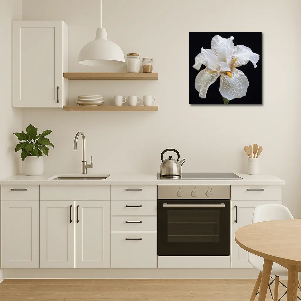 White Iris Flower Black Background Art – Wall Art