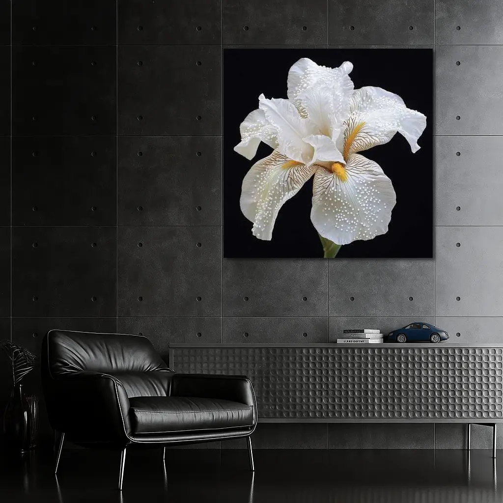White Iris Flower Black Background Art – Wall Art