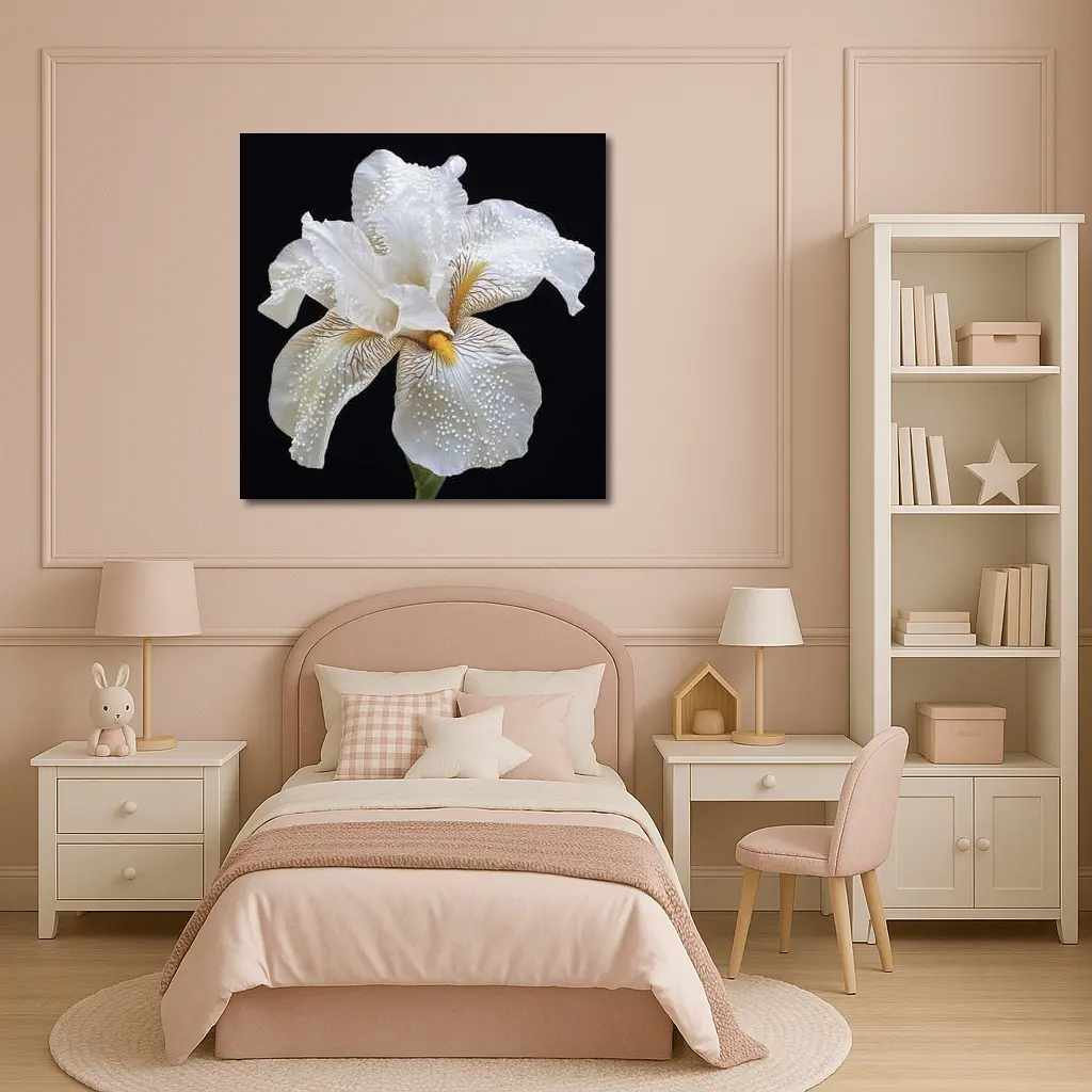 White Iris Flower Black Background Art – Wall Art