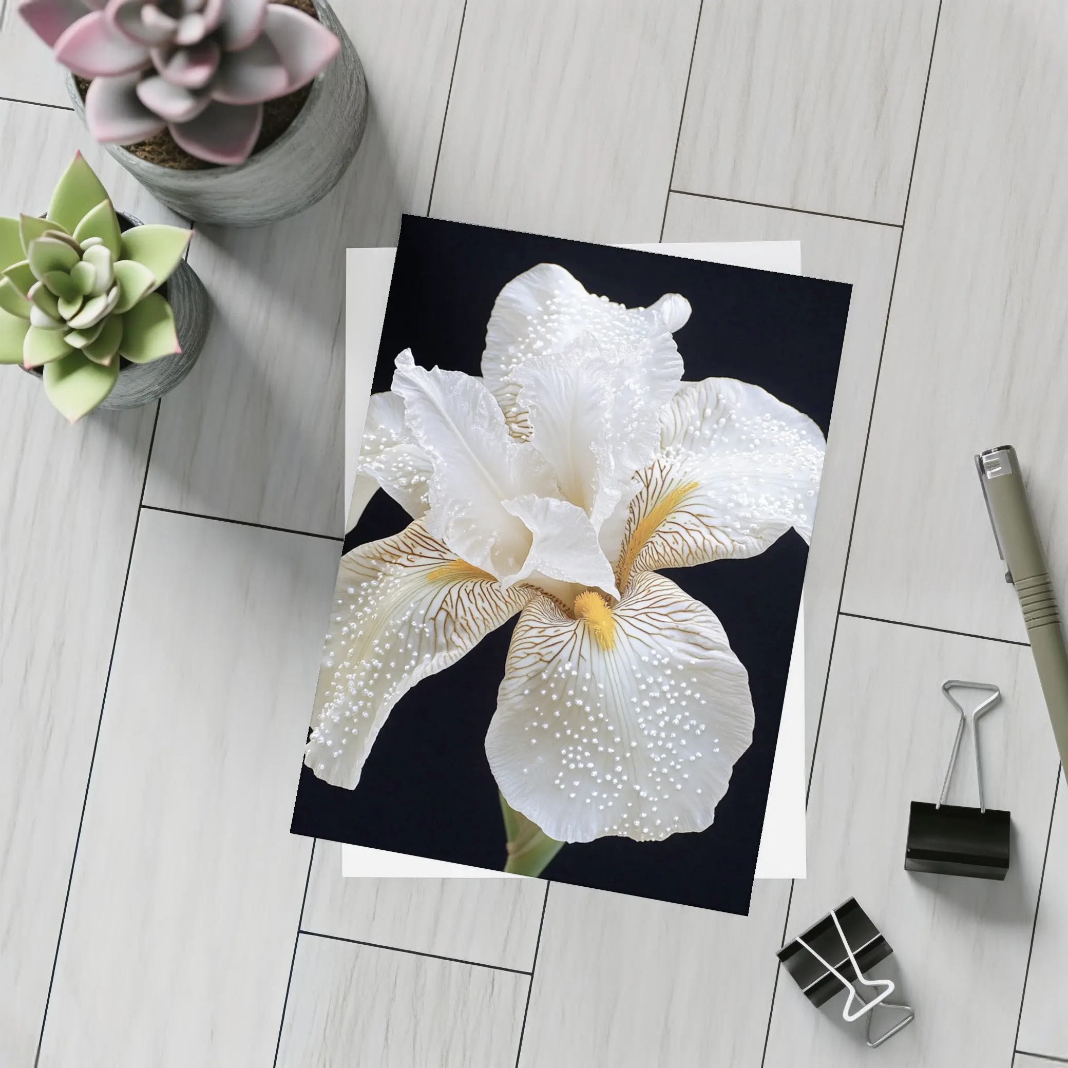 White Iris Flower Black Background Art – Postcards