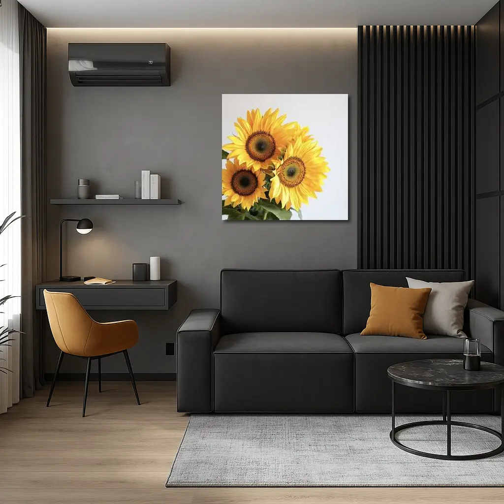 Three Sunflowers Against White Background – Wall Art