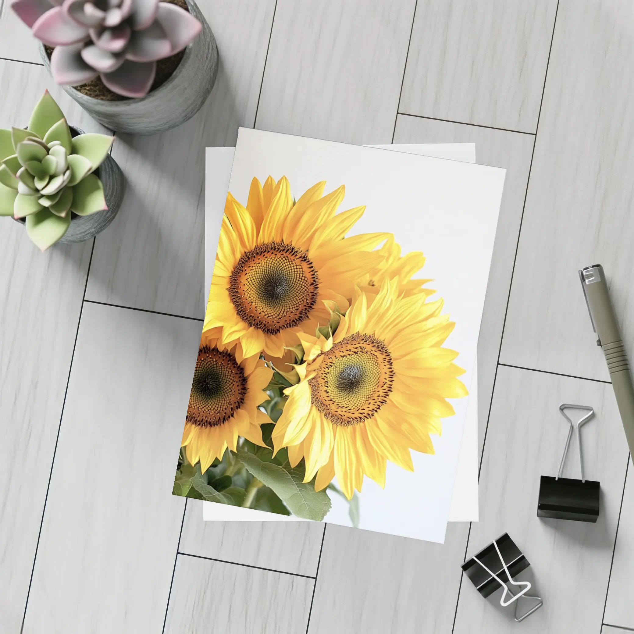Three Sunflowers Against White Background – Postcards