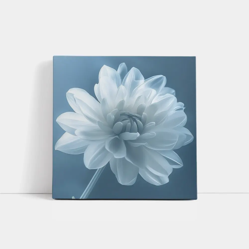 White Dahlia Flower Soft Blue Background – Wall Art