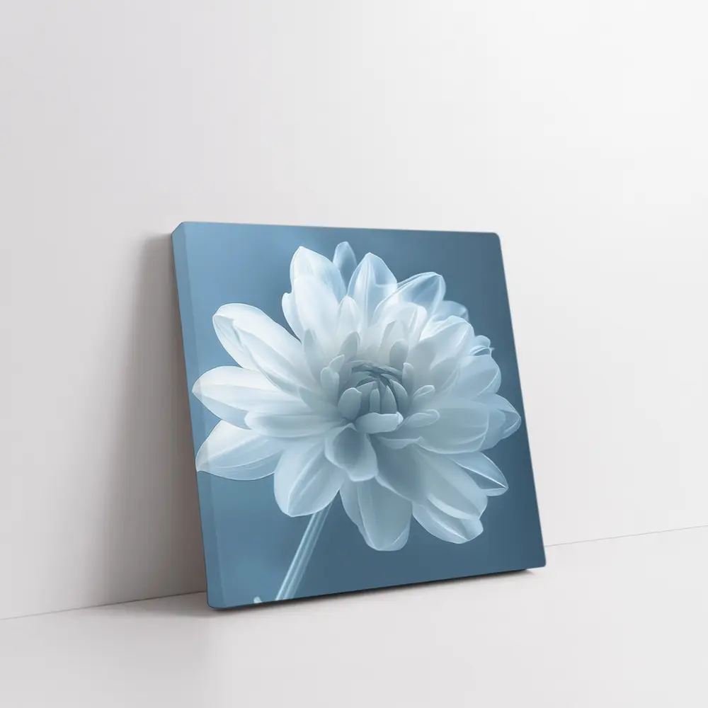 White Dahlia Flower Soft Blue Background – Wall Art
