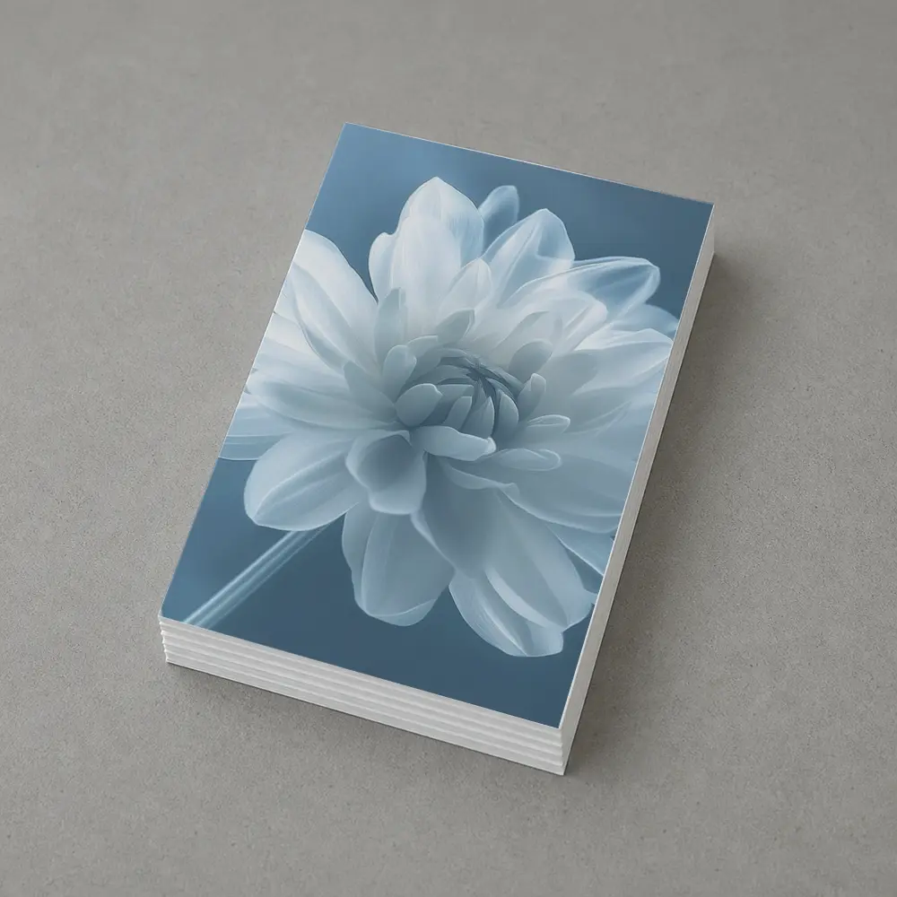 White Dahlia Flower Soft Blue Background – Postcards
