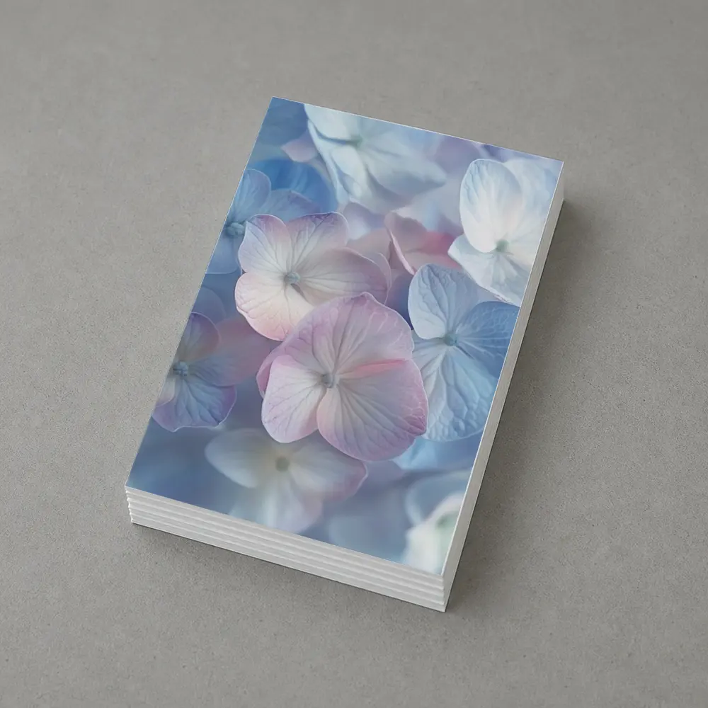 Soft Pastel Hydrangea Flowers Close Up – Postcards